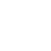 Insolito-Shop